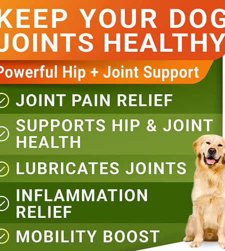 Glucosamine Treats for Dogs - Joint Supplement W/Omega-3 Fish Oil - Chondroitin, MSM - Advanced Mobility Chews - Joint Pain Relief - Hip & Joint Care - Chicken Flavor - Made in USA